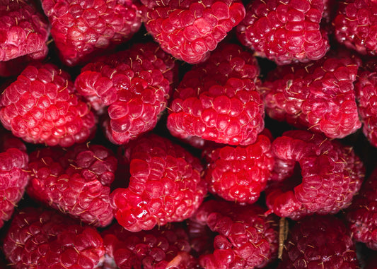 How to keep raspberries fresh