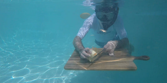 Onion goggles cutting onion underwater without crying