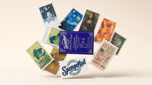 Collection of compressed cellulose SpongeMail sponges that come in the mystery 6-pack.