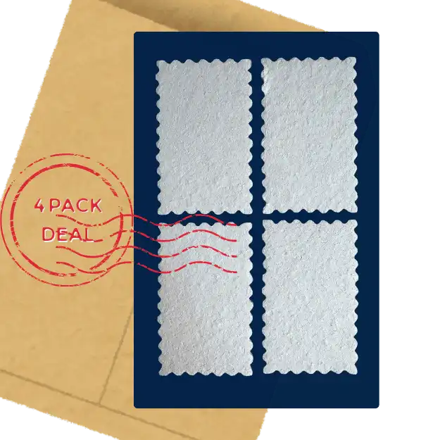 4 pack eco kitchen dish sponges