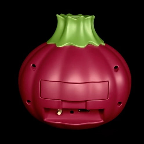 The Happy Onion rear view