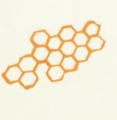 Bee's Wrap® The Tri-Fecta Pack | Assorted Single Wraps (3-Pack)