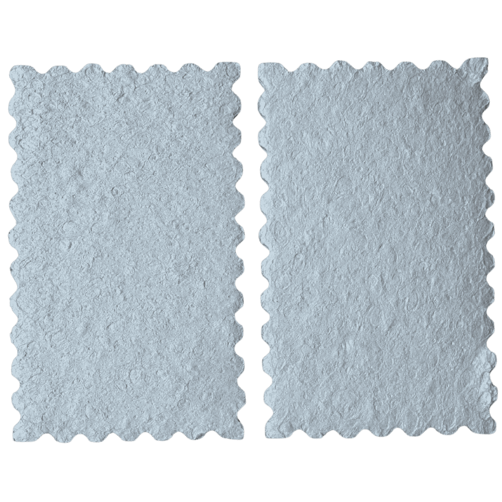 SpongeMail® Eco-Friendly Sponges