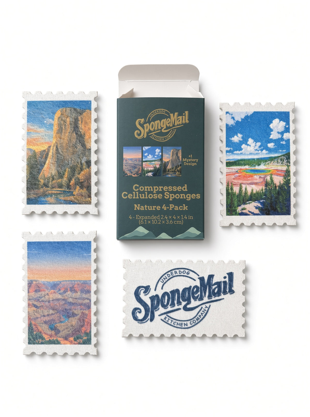 SpongeMail® 4-Pack | Plastic-Free Cellulose Kitchen Sponges