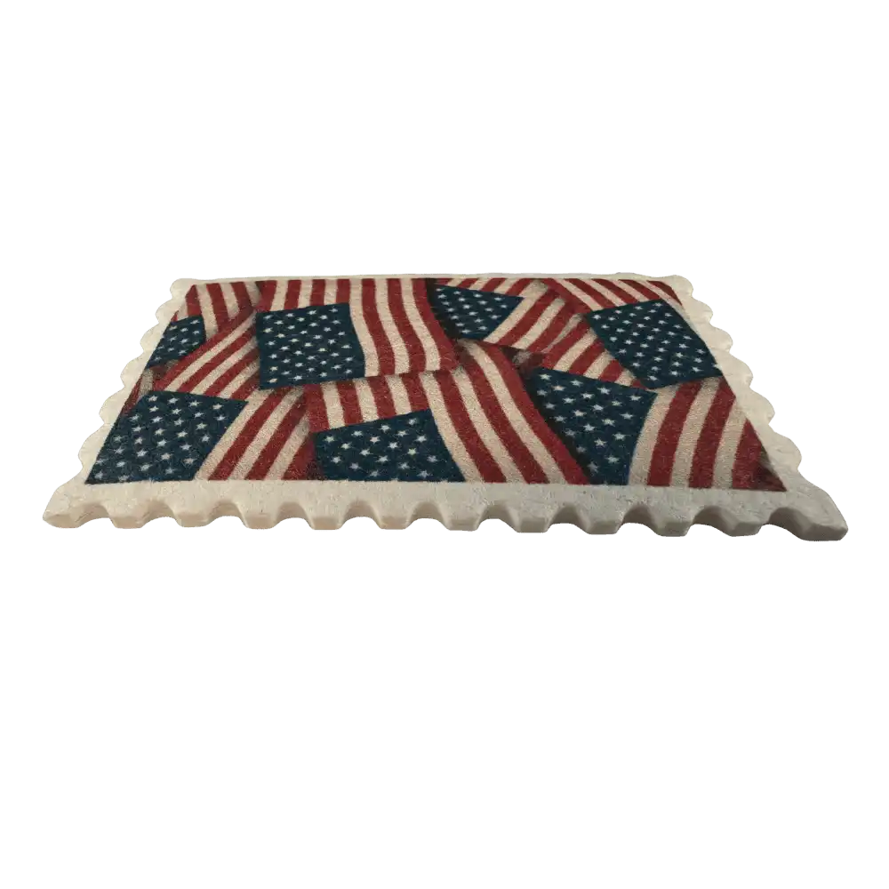 compressed usa flag dish sponge