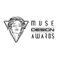 Eco-friendly-kitchen-sponge-silver-muse-award