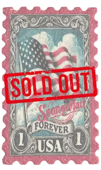 Eco friendly sponge SpongeMail Forever USA design