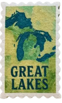 Eco dish sponge spongemail Great lakes design