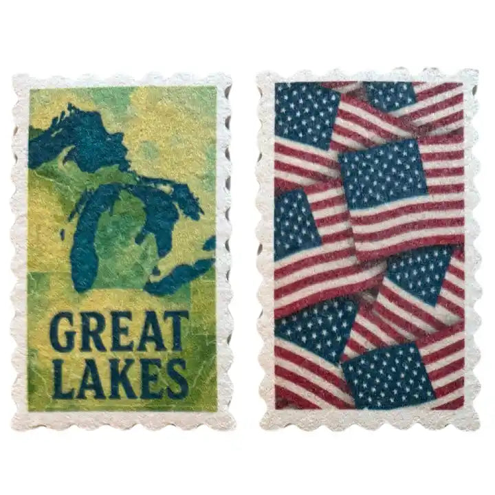 Two eco sponges with 'Great Lakes' and American flag designs on a white background.