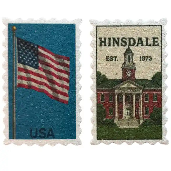 hinsdale and usa flag compressed eco kitchen sponges