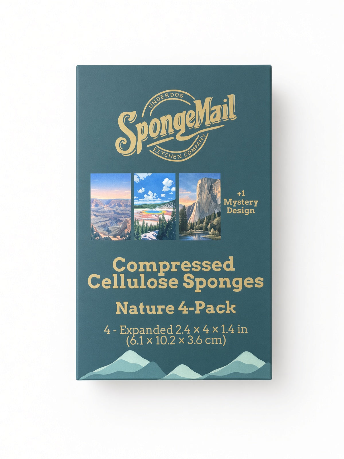 SpongeMail® 4-Pack | Plastic-Free Cellulose Kitchen Sponges