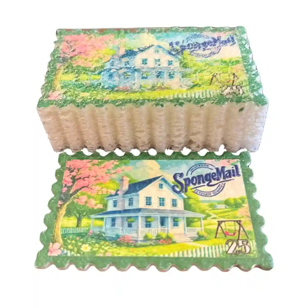 spring-edition-kitchen-sponge